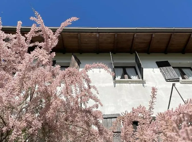 Daire Balconata Sul Ameno