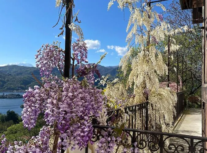 Apartman Balconata Sul *